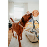 V4HB46DF13EB82D2C4D03F41DE35C3AD5B8R5582811P4