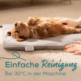 V2H336AE21AE9EDCACB415D37C5C0EE56A2R7718523P4