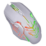 V5HA74B6F1C773B36FBBC7764A8FD390DC5R5634201P8