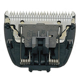 V2H96087B20948B228CFAE2C9A912D44513R5593869P1