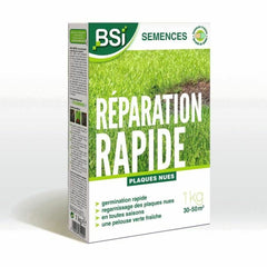 Semi BSI Reparación Rápida 1 kg