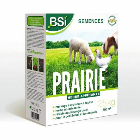 Semillas BSI