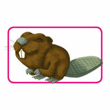 V6H5E45DB2644AD73CB1B4DAC757FE3D4A2R6182492P3