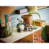 V4H912303FAA1E4A8741E52CDF688F6BAF9R5543543P8