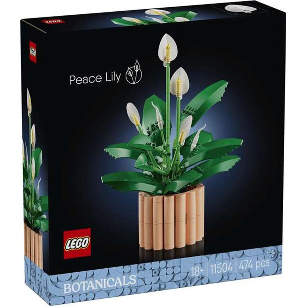 Set di Costruzioni Lego 11504 474 Pezzi