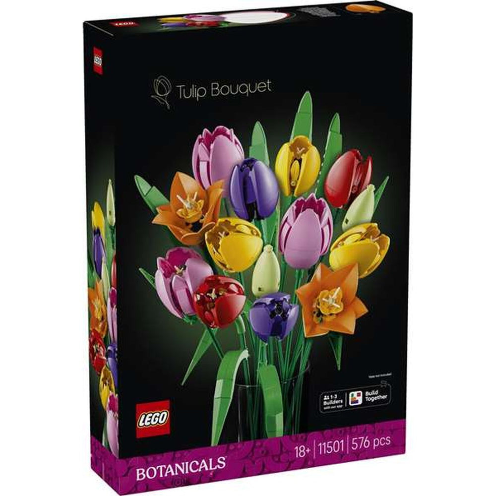 Set di Costruzioni Lego 11501