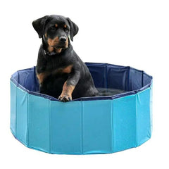 Cuccia per Cani Petitto DIAMENTIQ Azzurro 120 cm