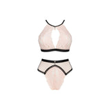 V6HEA078CF0C4917F736DF48338CC7F0F15R4662196P3