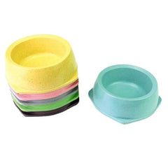 Fontana per Animali Domestici Hilton