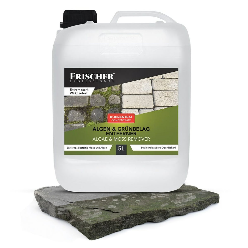 Aspirapolvere per Finestre Frischer FR00241_5000