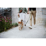 V6HF4CC90341E1B1877460AD8766AD38939R5301591P9