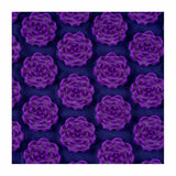 V5H12F6B7210512FCBBA30F6AA6174A7C32R4693475P6