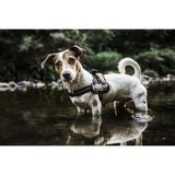 V1H61B1CA366E8C39F525937AC2BB5B0891RP8