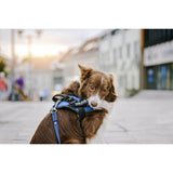 V5H67A50FFDD1436D7BB5701F75B5657F49R5592573P2