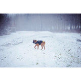 V5H4022C0BBEF08A5F2EFD3802D81FC5343R7445350P2