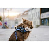 V5H6D7D84E15CFF22721EE96D31EF4F595FR5333072P4