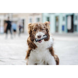 V5HB117AAC164D6D052694621E75E07ED1ER5333074P6