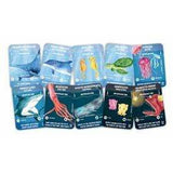 V8H3A1880034FAB530569C67C5A60B198A8R5269451P2