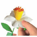 V3HD3EDE3D72C7C245C2418663A14978ADBR5803646P3