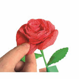 V4HDA6A6A8A37C74FF51E6FF128263E479CR5803639P3