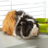 V10H83D4650DCA6DF1D8A79A23BB6B8E257BR6408323P6