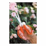 V6H384CD44EA86CF9BE822ACE1709E166FDR4416135P2