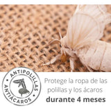 V3HEA2FB8B2689D3989EE039473E1E7F4F9R5816121P7