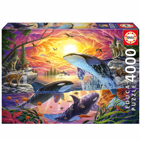 Puzzle Educa Orcas y Lobos 4000 Pezzi
