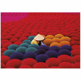 V5H8520B1B477BB772BB6D5511CB34D5F08R7075123P3