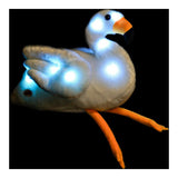 V13HF2D8AE73A8C62C5B3208DCE1C37DFF27R4991329P2