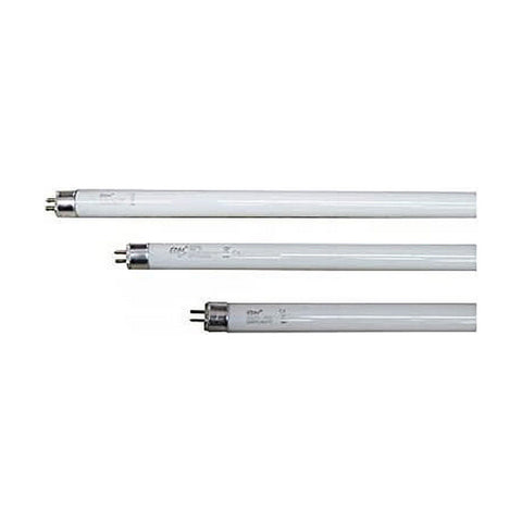 Tubo fluorescente EDM 06023 t5 Azzurro 8W 8 W Ricambio Uccidi gli insetti elettrici