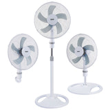 V7H748C04379503C29625ECDA2905DE96BAR4198176P1