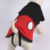 V10H3E46884C66644127C2A0868885F34D13R4723435P6