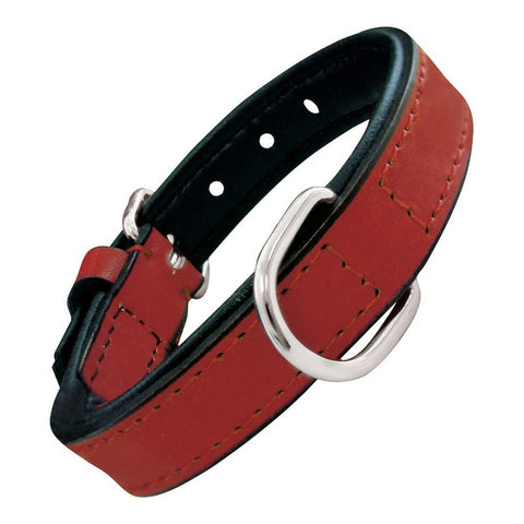 Collar para Perro Gloria Acolchado Rojo 40 cm (40 x 2 cm)