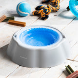 V11H1CE1009615311B0F90B35490D8A894F1R5277971P7