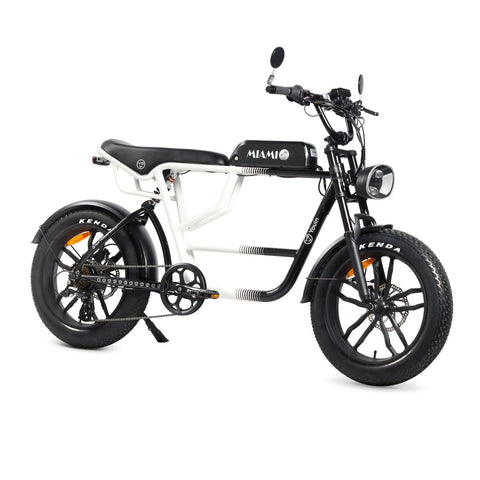Bicicletta Elettrica Youin BK7000 MIAMI 250 W 20