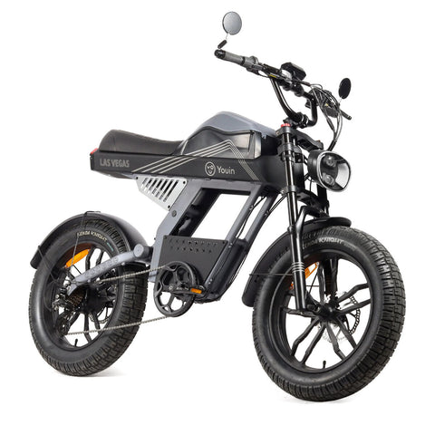 Bicicletta Elettrica Youin BK7100 LAS VEGAS 250 W 20