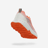 V6H001420B6E2C4D64B50D273AF6F6EE06FR5417964P4