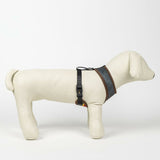 V5H47119BBC5C29E8CE3943CFF22A2282CCR5150366P6