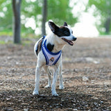 V3H4B54BCABC44ED2C692F94450EF983E0ER7186619P4