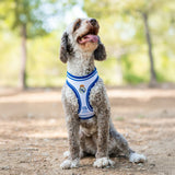 V3HB89E3B49CA9F025B48DB24DF458FECBFR7186626P9