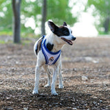 V3H4F8EBF4D4EEA76236892A04E9DC9515FR7186628P10