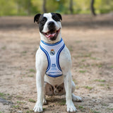 V3HDF1D0A9591A663EA77BF69ECCBEF5C73R7187305P3