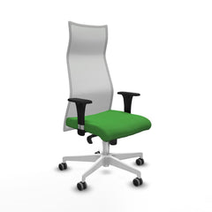 Sedia da Ufficio Piqueras y Crespo B1C026G Verde