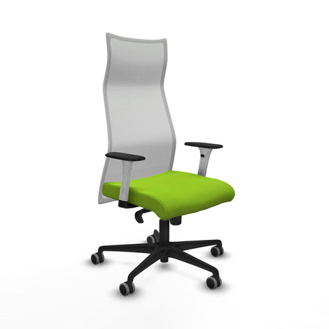 Office Chair Piqueras y Crespo B1B036G Pistachio