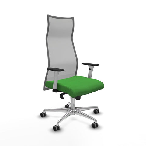 Office Chair Albacete Piqueras y Crespo B1B086G Green