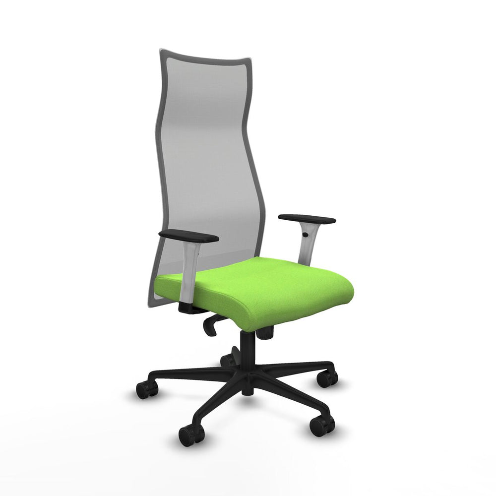 Sedia da Ufficio Albacete Piqueras y Crespo B1B036N Pistacchio