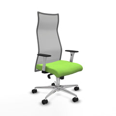 Sedia da Ufficio Albacete Piqueras y Crespo B1B086N Pistacchio