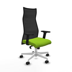 Sedia da Ufficio Piqueras y Crespo B2D026N Pistacchio