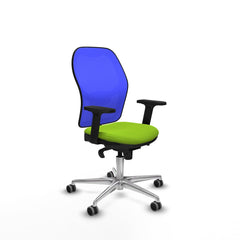Sedia Gaming Piqueras y Crespo 2D086G0 Pistacchio
